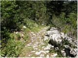 Vrh Bače - Planina Za Črno goro